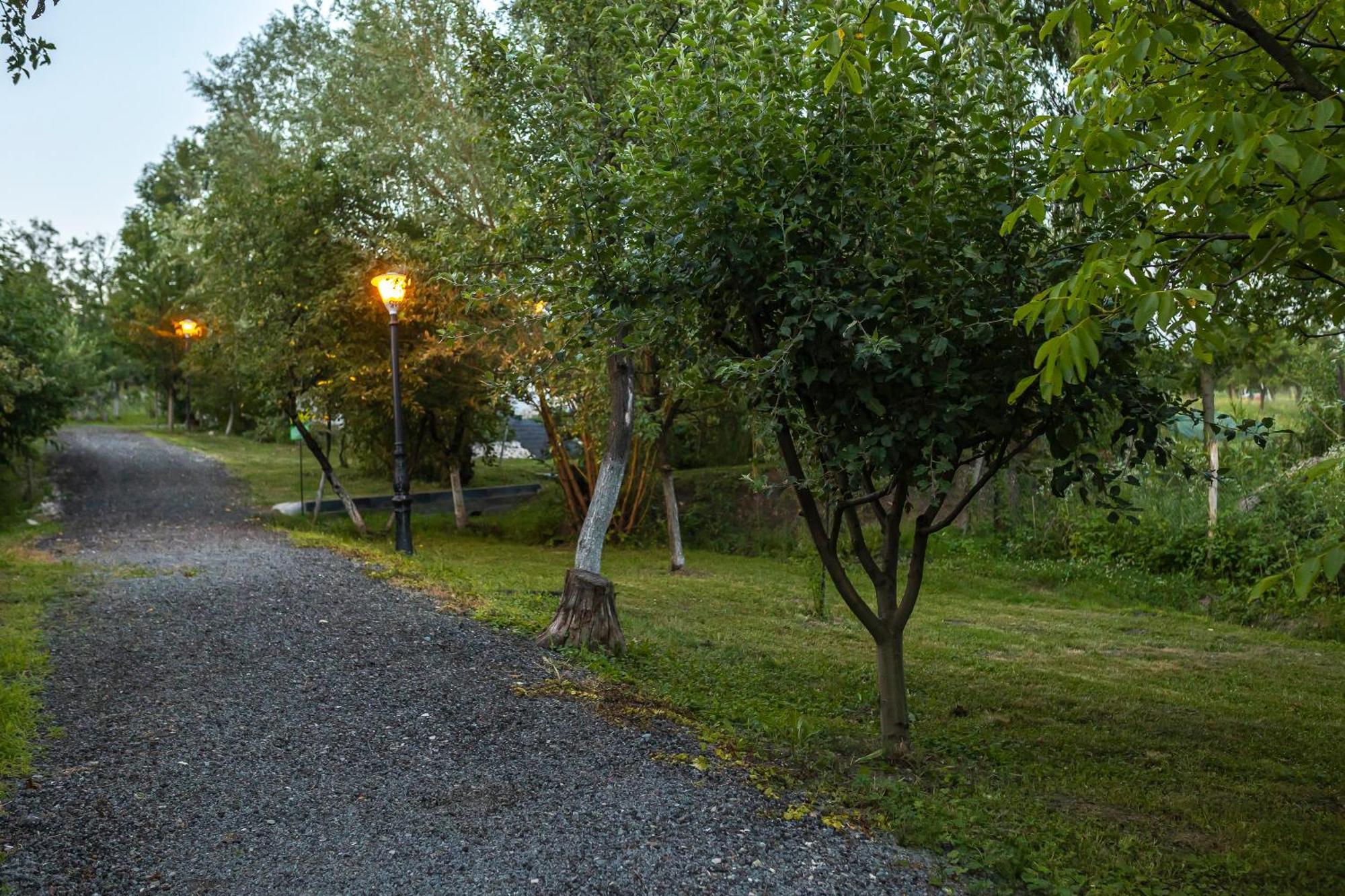 Agropensiunea Colev Stremt 外观 照片
